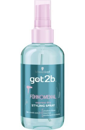 Got 2b styling spray 200ml